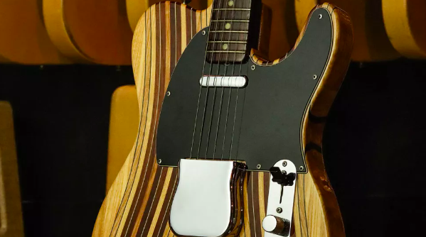 Stringer Tele - гитара из 35 пород древесины