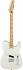 FENDER PLAYER Telecaster MN Polar White электрогитара – фото 1