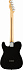 FENDER PLAYER Telecaster MN Black электрогитара – фото 2