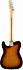 FENDER PLAYER Telecaster MN 3-Tone Sunburst электрогитара – фото 2