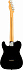 FENDER American PRO II Telecaster MN Black – фото 2