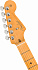 FENDER American PRO II Stratocaster MN Roasted Pine – фото 5