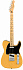 FENDER PLAYER Telecaster MN Butterscotch Blonde электрогитара – фото 1