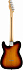 FENDER PLAYER Telecaster PF 3-Tone Sunburst электрогитара – фото 2